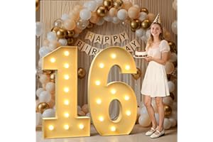 MIXIFOX 4FT Marquee Numbers 16, Large Light up Number 16 for Birthday Party Supplies, Sign, Backdrop, Happy 16th Birthday Decorations for Sweet 16 Years Old Boys Girls