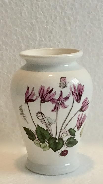 Amazon Com Vintage Portmeirion Botanic Garden 3 1 2 Vase Home