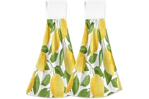 Boccsty Lemon Hanging Kitchen Towels 2 Pieces Summer Lime Tree Branch Dish Cloth Tie Towels Hand Towel Tea Bar Towels for Bathroom Farmhouse Housewarming Tabletop Home