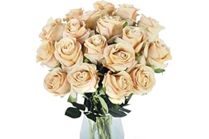 Luyue Artificial Rose Flowers 10 Pack Fake Silk Roses with Long Stems Bridal Wedding Floral Bouquets Home Office Decor-Champagne