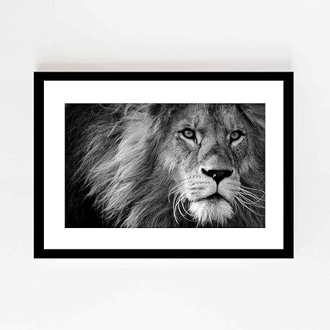 Amazon Co Jp ライオン捕食者白黒動物ポスター壁画ネコアートプリントクリエイティブ装飾ライオントラは額縁35x27cm ホーム キッチン