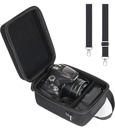Amazon.com : Panasonic DMW-CXH1 Hard Camera Case for Panasonic
