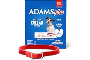 ADAMS Plus Flea & Tick Collar for Dogs, 7-Month Protection, Adjustable Collar Fits Small Dogs & Puppies, Kills Fleas & Ticks
