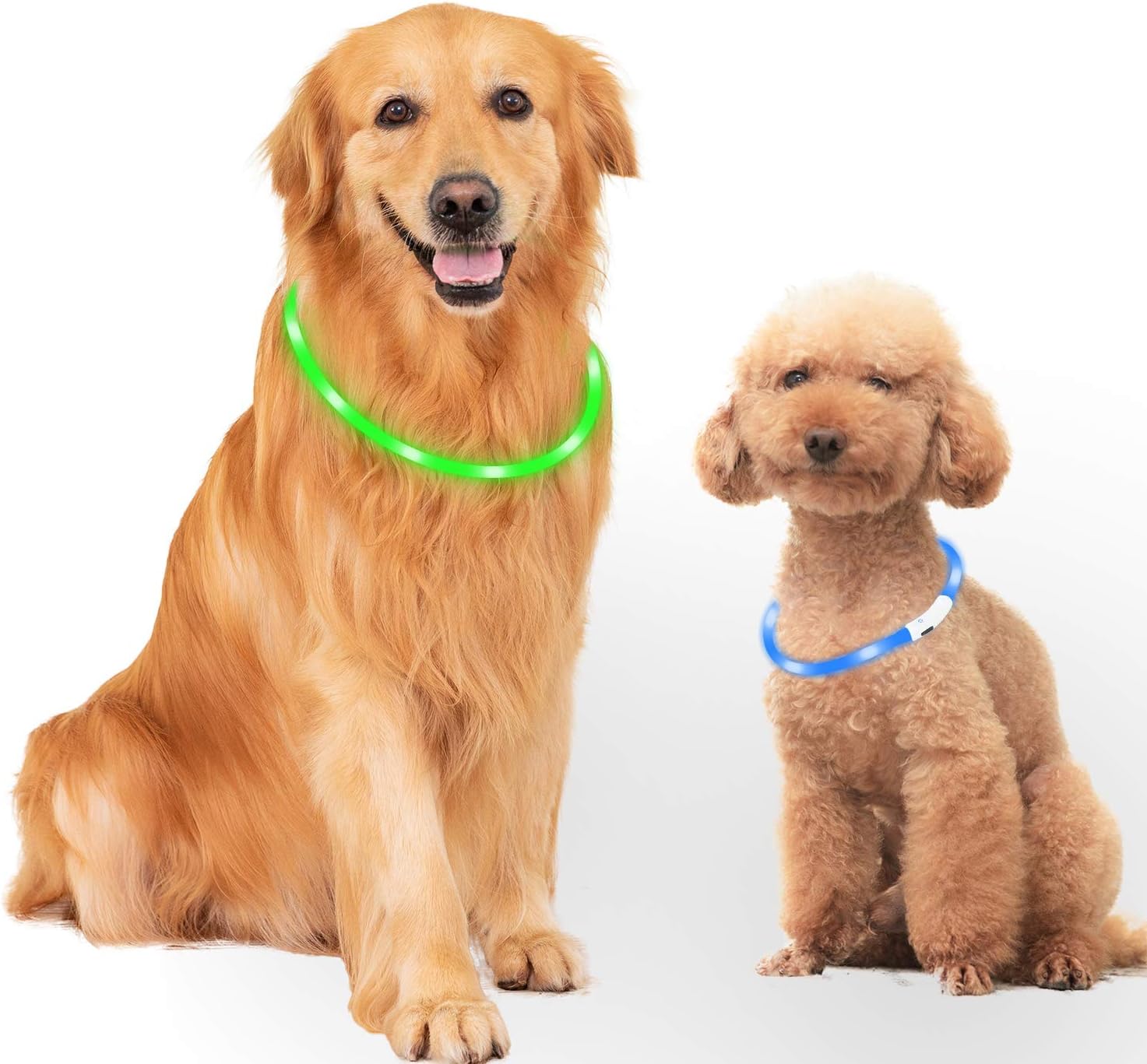 Mitening Hundehalsband Leuchtend, 2 Stück Leuchthalsband Hund LED Hunde
