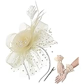 Yunpwag Women's 20s 50s Feather Mesh Pillbox Fascinator Hats for Women Wedding Tea Party Church with Headband and Clip