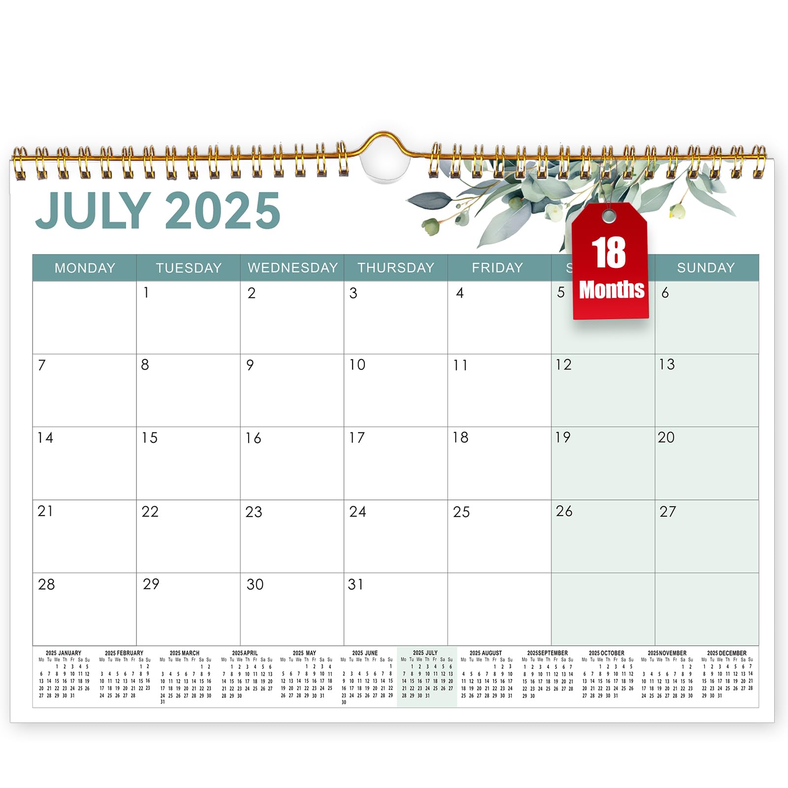 18 Month Calendar 2025 uk, A4 Wall Calendar 2025/26, Monthly Calendar 2025 uk Family Planner Month to View from July 2025 - Dec.2026, 2025 calender for Office Family Kitchen - Green Leaf