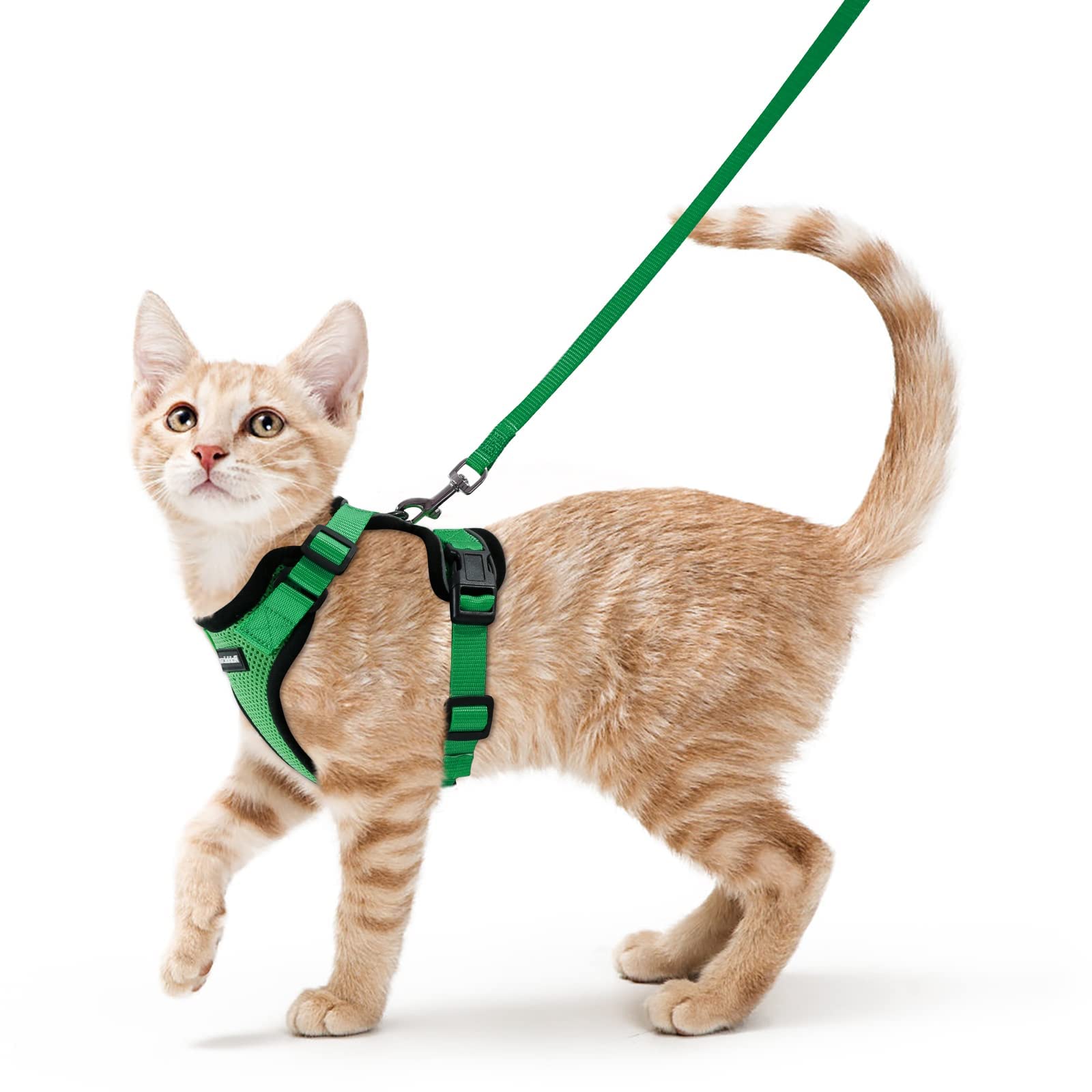 Photo 1 of rabbitgoo Cat Harness and Leash for Walking, Escape Proof Soft Adjustable Vest Harnesses for Cats, Easy Control Breathable Reflective Strips Jacket, Grass Green, XS