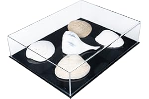 Better Display Cases Versatile Acrylic Clear Display Case - Medium Rectangle Box with Black Base 13" x 10" x 3" (A029-DS)