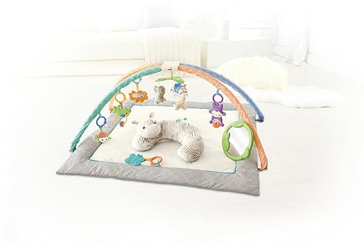 fisher price safari dreams music and lights gym