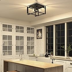 Feanron 2-Light Flush Mount Ceiling Light