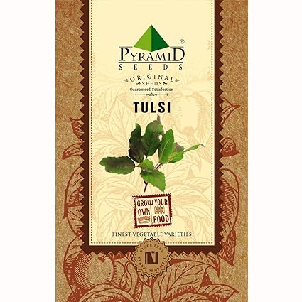 Pyramid Tulsi Seeds (4g, Green)