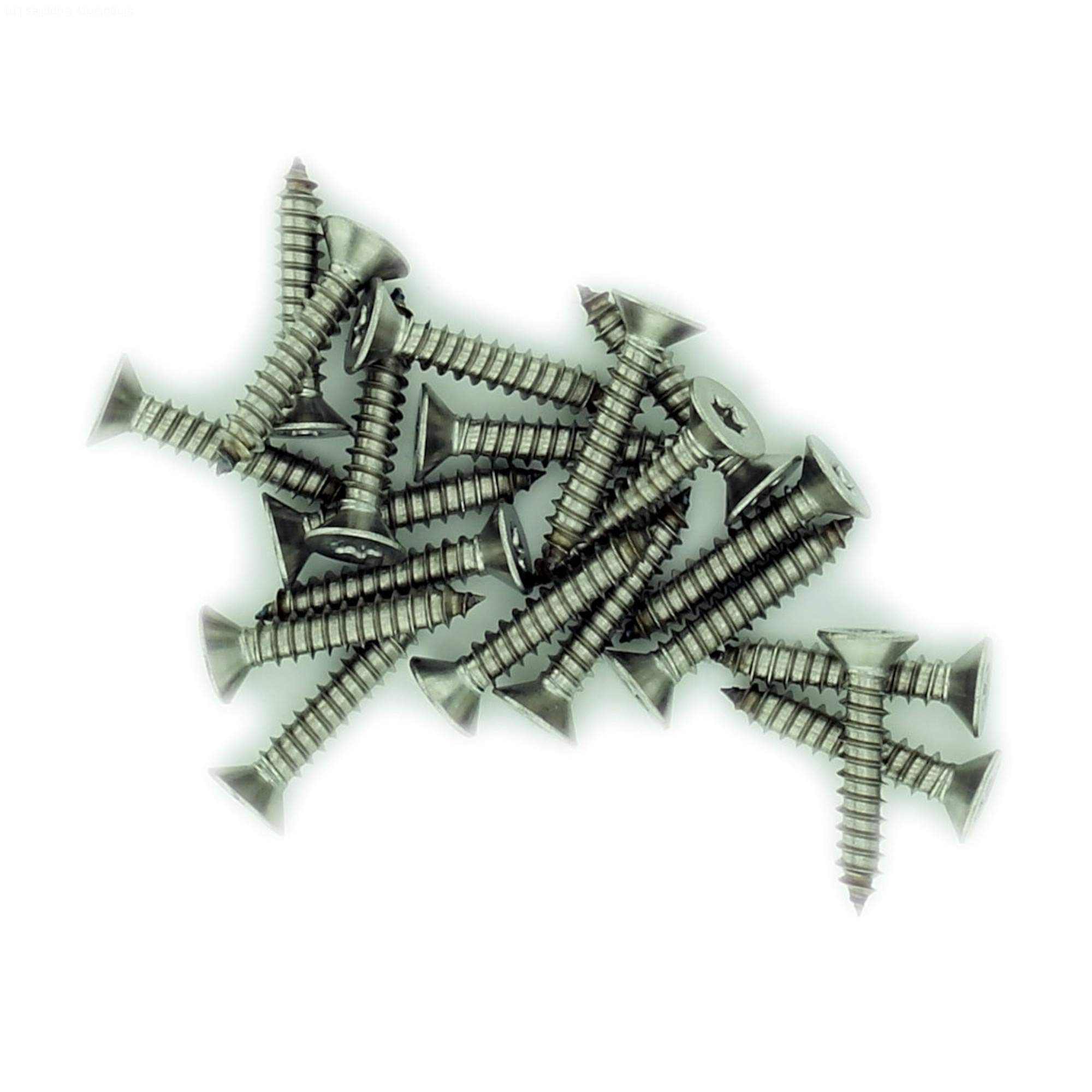 No.10 x 0.625 (4.8mm x 16mm) TX Countersunk Self-Tapping Screw - Stainless Steel (A2) (Pack of 20)