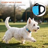 Taglory Reflective Nylon Dog Collar with Safety Buckle XS Sky Blue view 2
