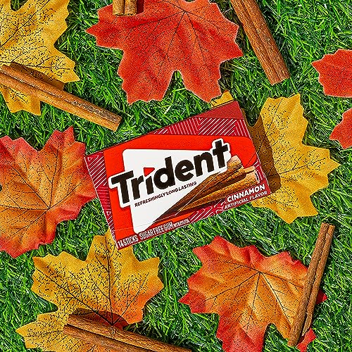 TRIDENT CINNAMON SUGAR-FREE CHEWING GUM, 12 PACKS OF 14 PIECES (168 TOTAL PIECES)