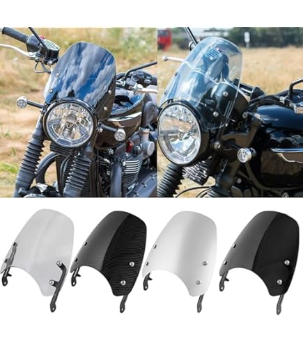 Amazon.com: Dart Piranha Flyscreen (Black) Motorcycle
