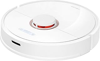 Xiaomi Roborock S6