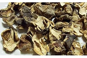 Oregon Mushrooms Paddy Straw Mushrooms 1 LB