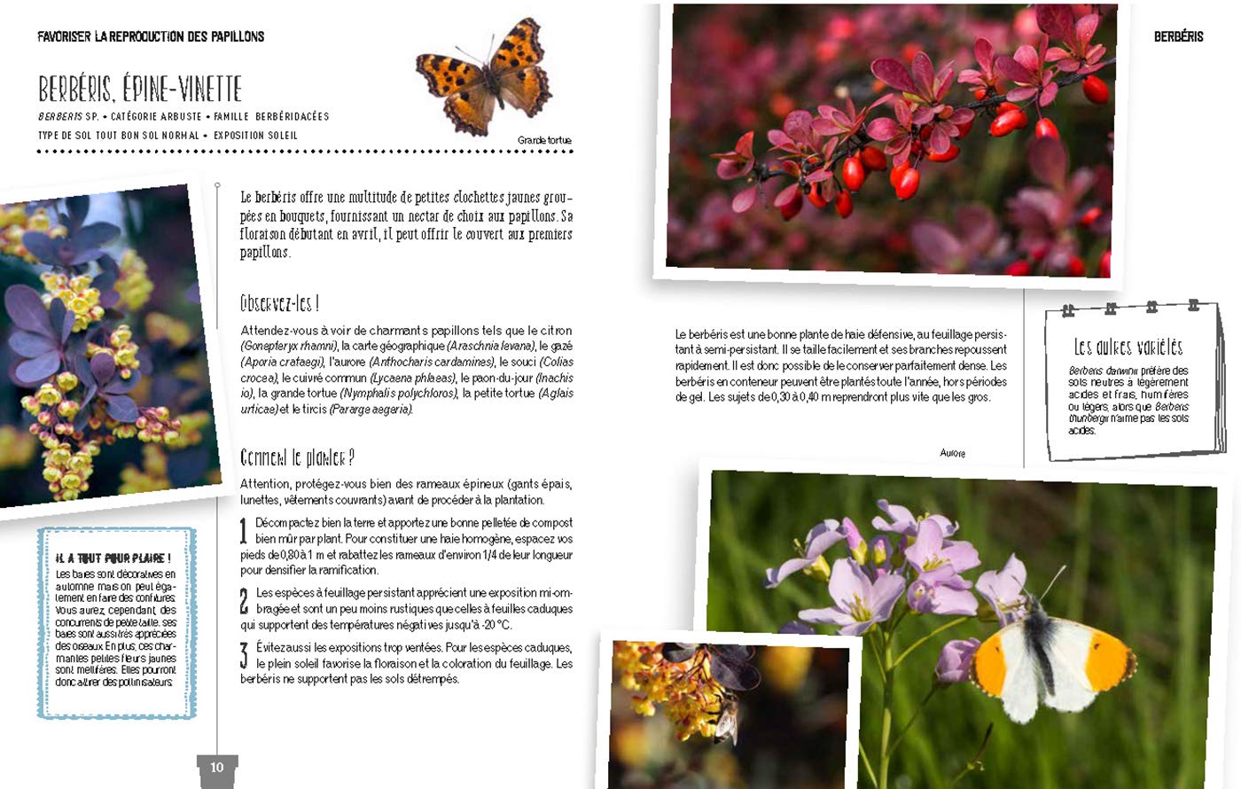 Faites Entrer La Biodiversite Dans Votre Jardin Cahiers Jardin Delvaux Catherine 9782035984173 Amazon Com Books