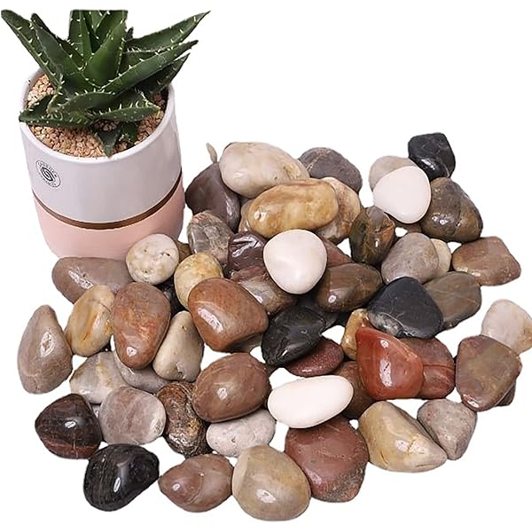 Top more than 163 amazon decorative stones best seven.edu.vn