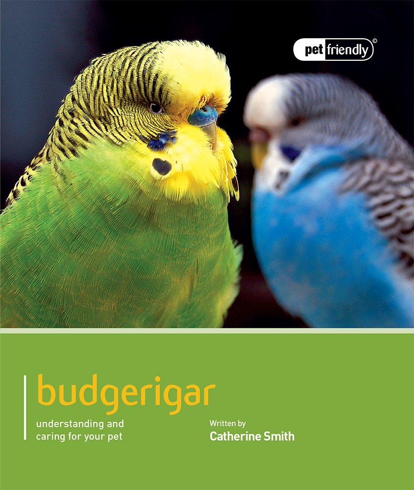 Budgerigar: Pet Friendly - Budgerigar Paperback – 1 May 2012