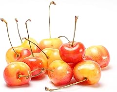 Rainier Cherries, 1 lb