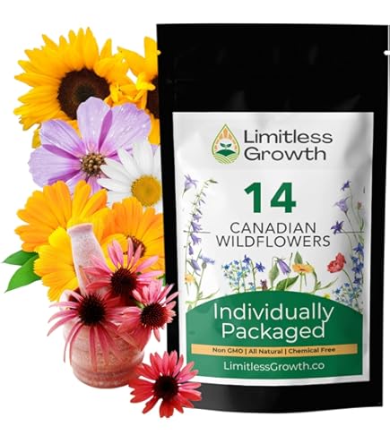Lot de sachets de graines de fleurs à semer en mars. OFFRE PROMO
