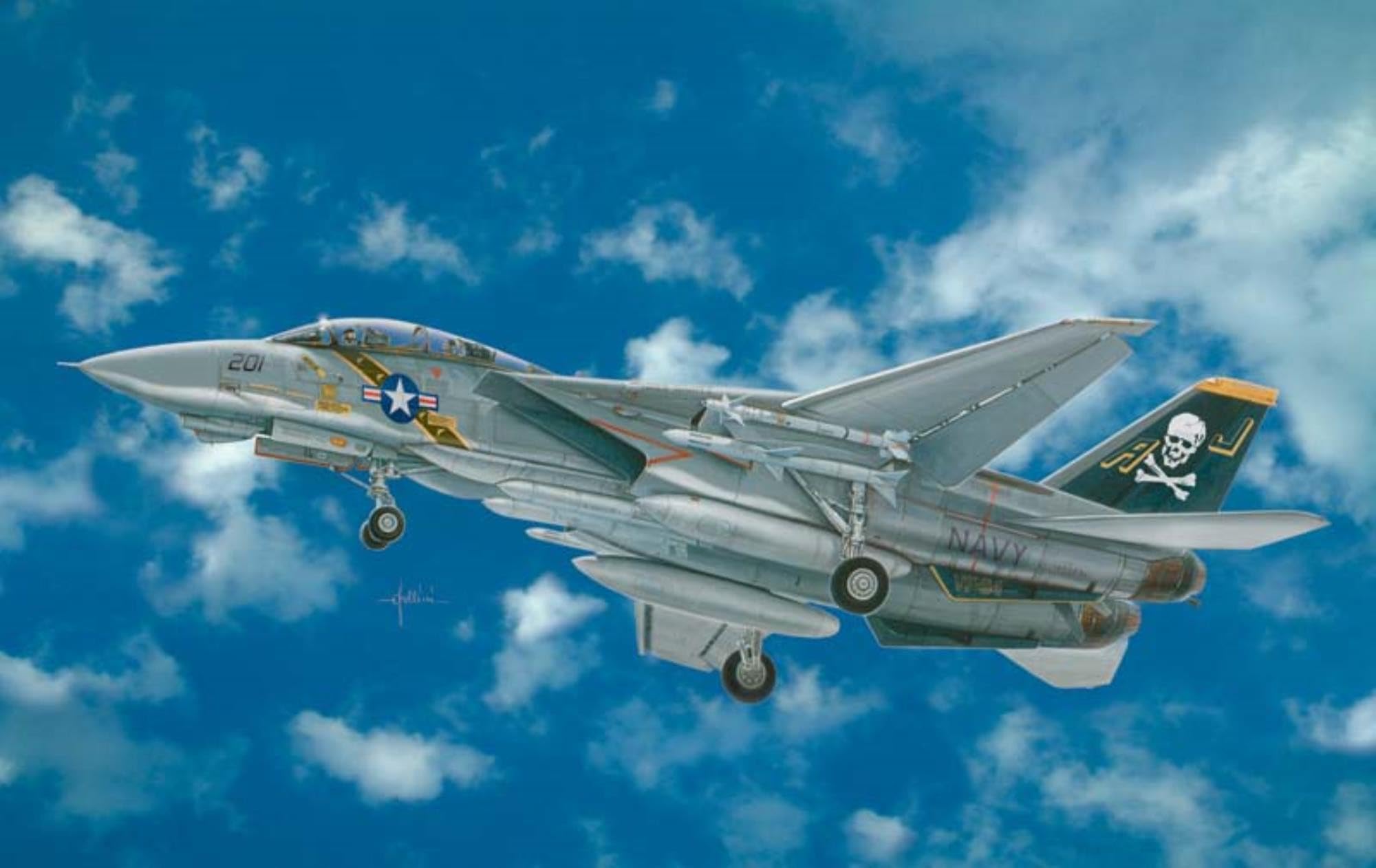 The Hobby Company Italeri 2667S Plastic Model Kit F-14 A Tomcat Scale