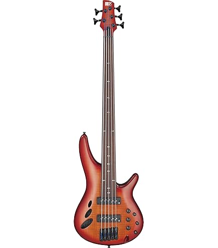 Amazon.com: Ibanez SRH505F Fretless - Natural Browned Burst Flat