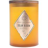 Manly Indulgence Solar Bloom Scented Jar Candle, Rebel Collection, 2 Wick, Orange, 22 oz - Up to 120 Hours Burn