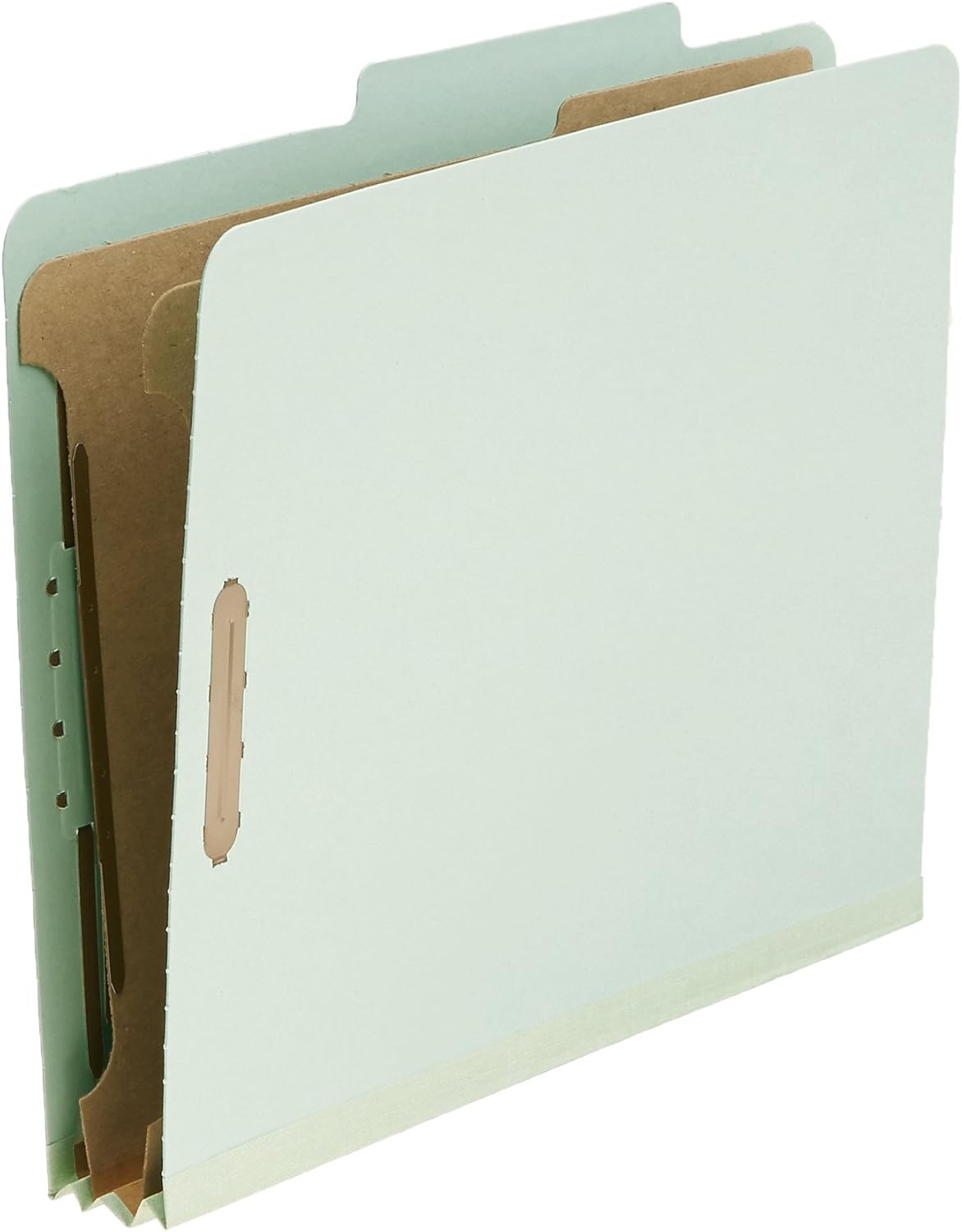  Basics Pressboard Classification File Folder with Fasteners, 2 Dividers, 2 Inch Expansion, Letter Size, Green, 10-Pack : Office Products
