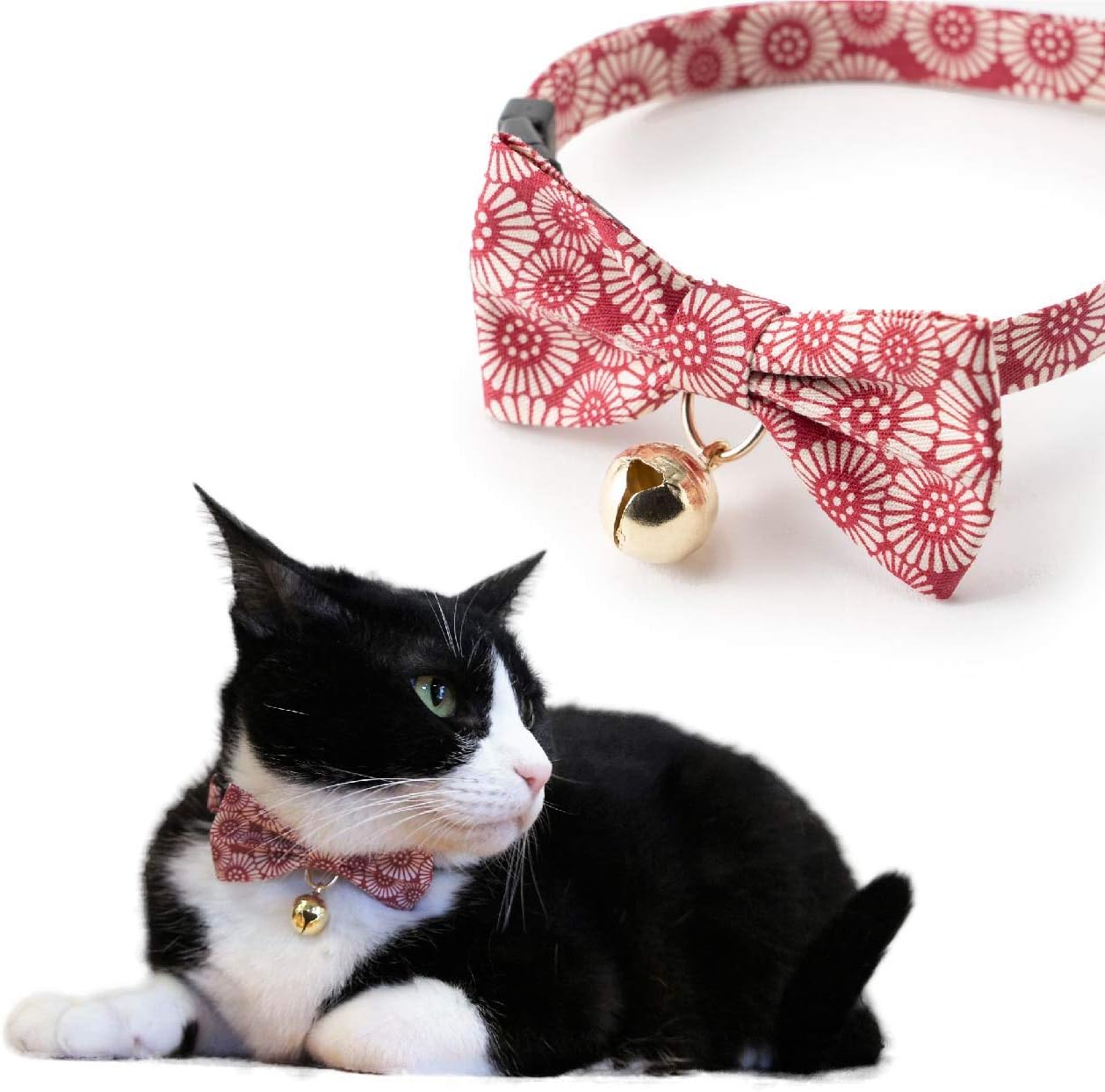 unique cat collars