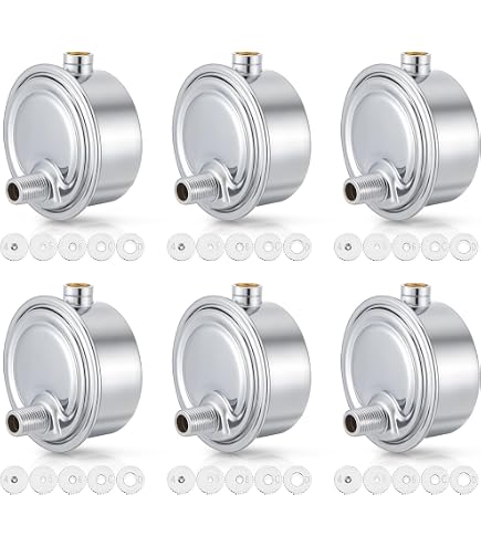 MIDLINE VALVE Dampfentlüfter 1/8 Zoll – Verchromt, Für Heizkörper, Max. 5 PSI