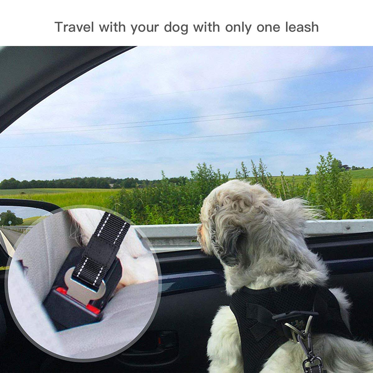 Loki Loki Bungee Dog Leash with Car Seat Buckle, Improved Comfort and Safety Bungee Dog Leash - 2 Soft Padded Handles, Reflective Threads, Max. 6FT Durable Leash