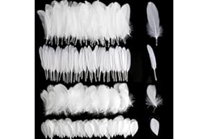 Lot de 300 plumes d'oie naturelles pour loisirs créatifs, 5 à 20 cm, plumes blanches pures pour attrape-rêves, loisirs créati