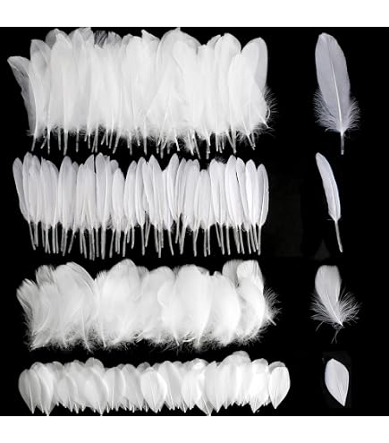 Plumes De Dinde Blanches Naturelles – 24 Pièces 25-30 Cm – Pour Artisanat, Déco, Costumes (gauche/droite)