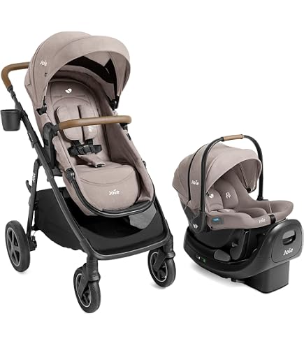 Amazon.com : Joie Baby, Ginger DLX Stroller and Mint Latch Car