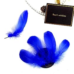300pcs Blue Feathers 2-3 Inches Bulk Feathers for