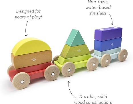 tegu magnetic train