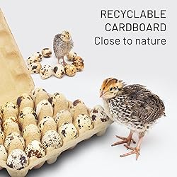 HavRixor Quail Egg Cartons 30 Pack- Holds Up to Two