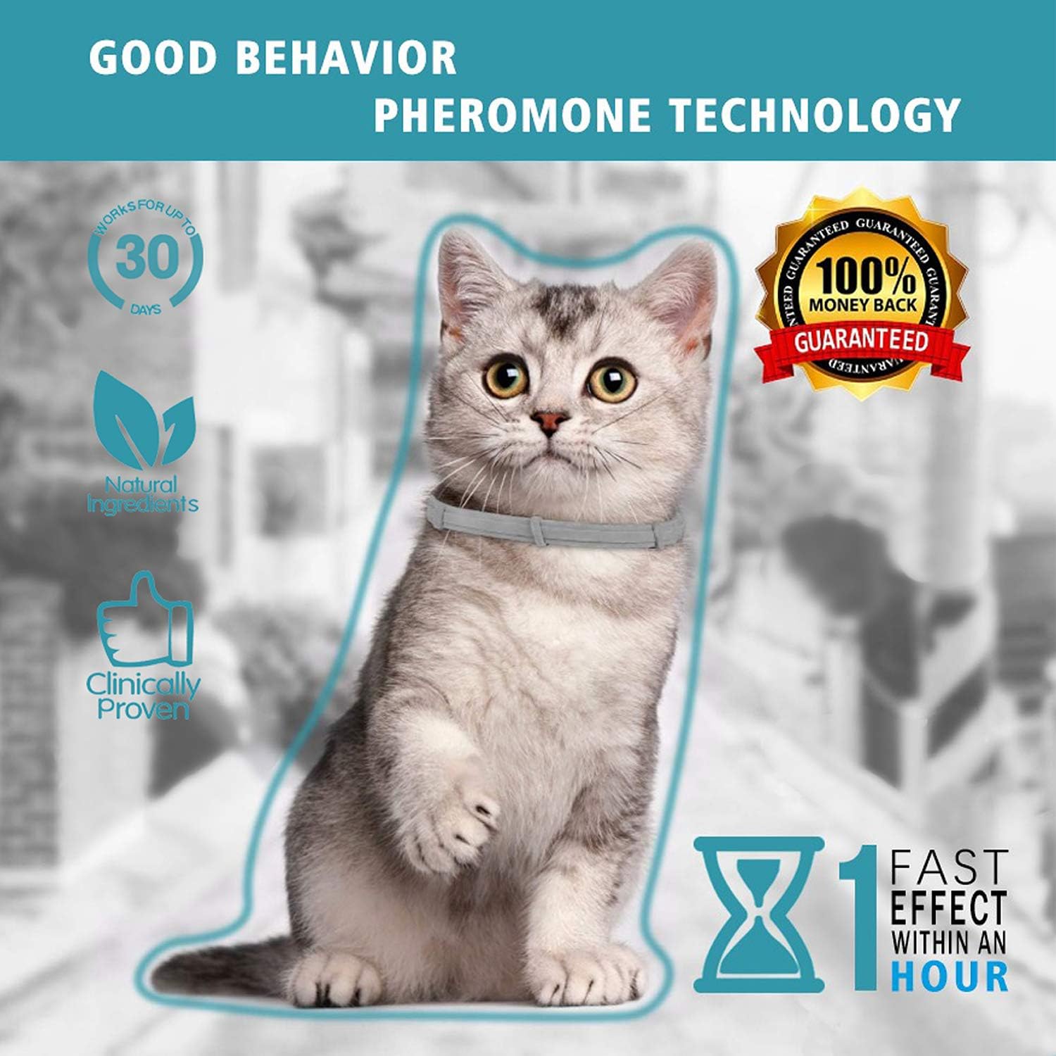Calming Collar for Cats and Kittens Relieve Reduce Anxiety or Stress Pheromones Formula Waterproof Your Pet Lasting Calm Collar Up to 15 Inch Fits Cat : Pet Supplies