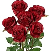Briful Red Artificial Roses โ 6PCS 18.9" Silk Rose Faux Flowers with Long Stems Realistic Fake Rose Bouquet for DIY Wedding Arrangements Table Vase Centerpieces Home Event Decor