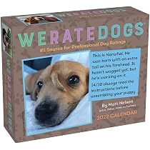 weratedogs-2022-day-to-day-calendar-nelson-matt-9781524864057-amazon-com-books