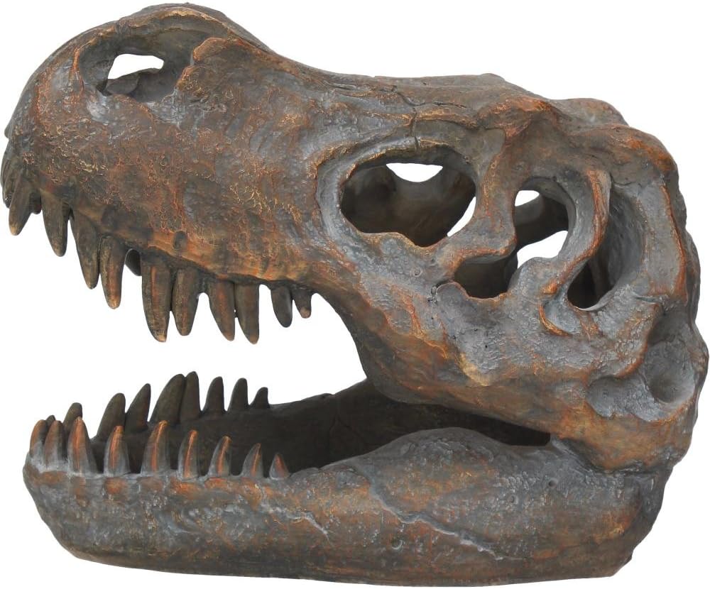 Nemesis Now Tyrannosaurus Rex Skull Freestanding Figurine 18.5cm Grey, 16cm - Image 4