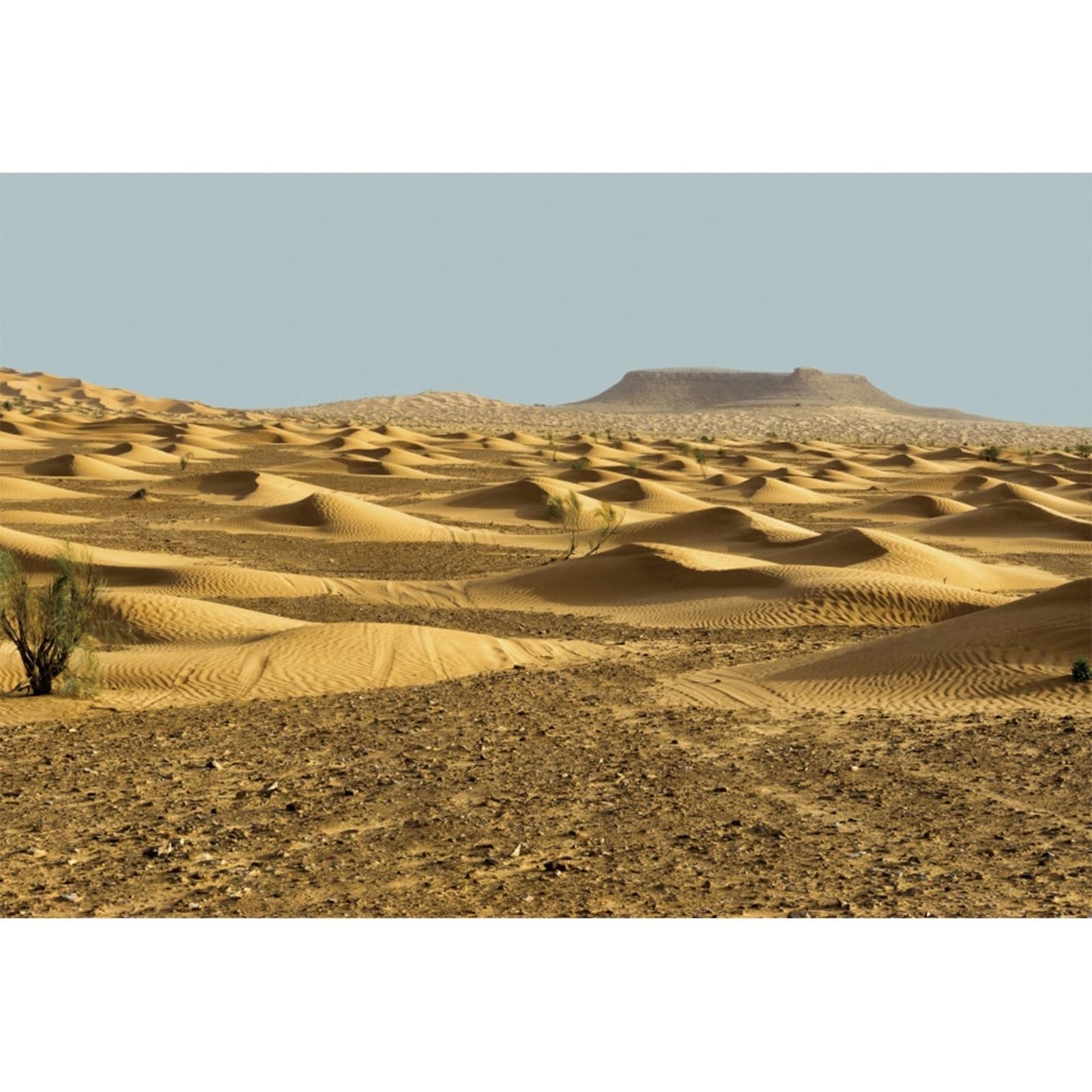 YongFoto 7x5ft Natural Scenery Backdrop Landscape of Ripples of Desert Dunes in the Sahara Photography Background wedding Date Lover Travelling Photo Portrait Props Video Studio