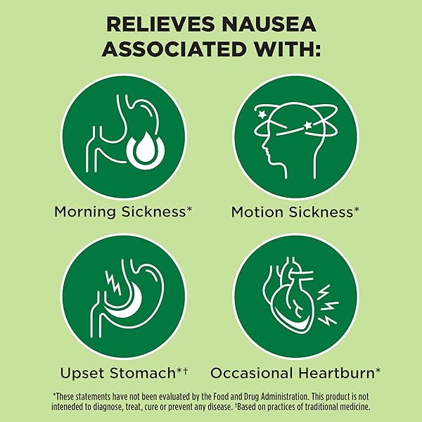 FROM THE MAKERS OF DRAMAMINE, ADVANCED HERBALS GINGER CHEWS FOR NAUSEA RELIEF, MORNING SICKNESS RELIEF & MOTION SICKNESS RELIEF DURING TRAVEL, LEMON-HONEY, 40 COUNT