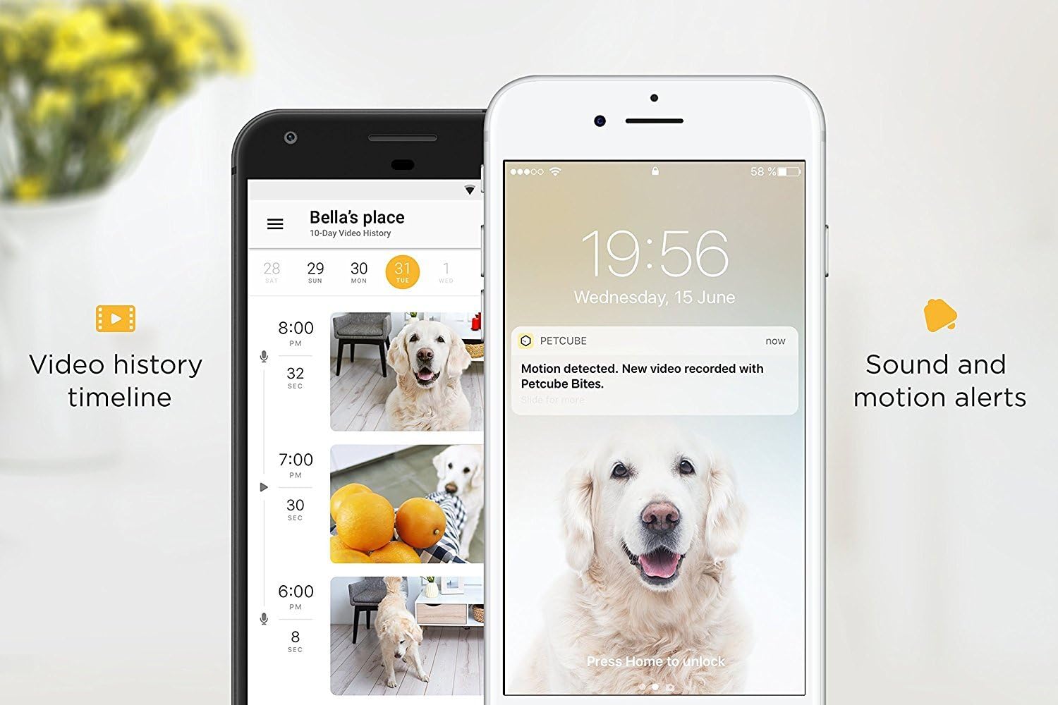 petcube play smart pet camera with interactive laser toy