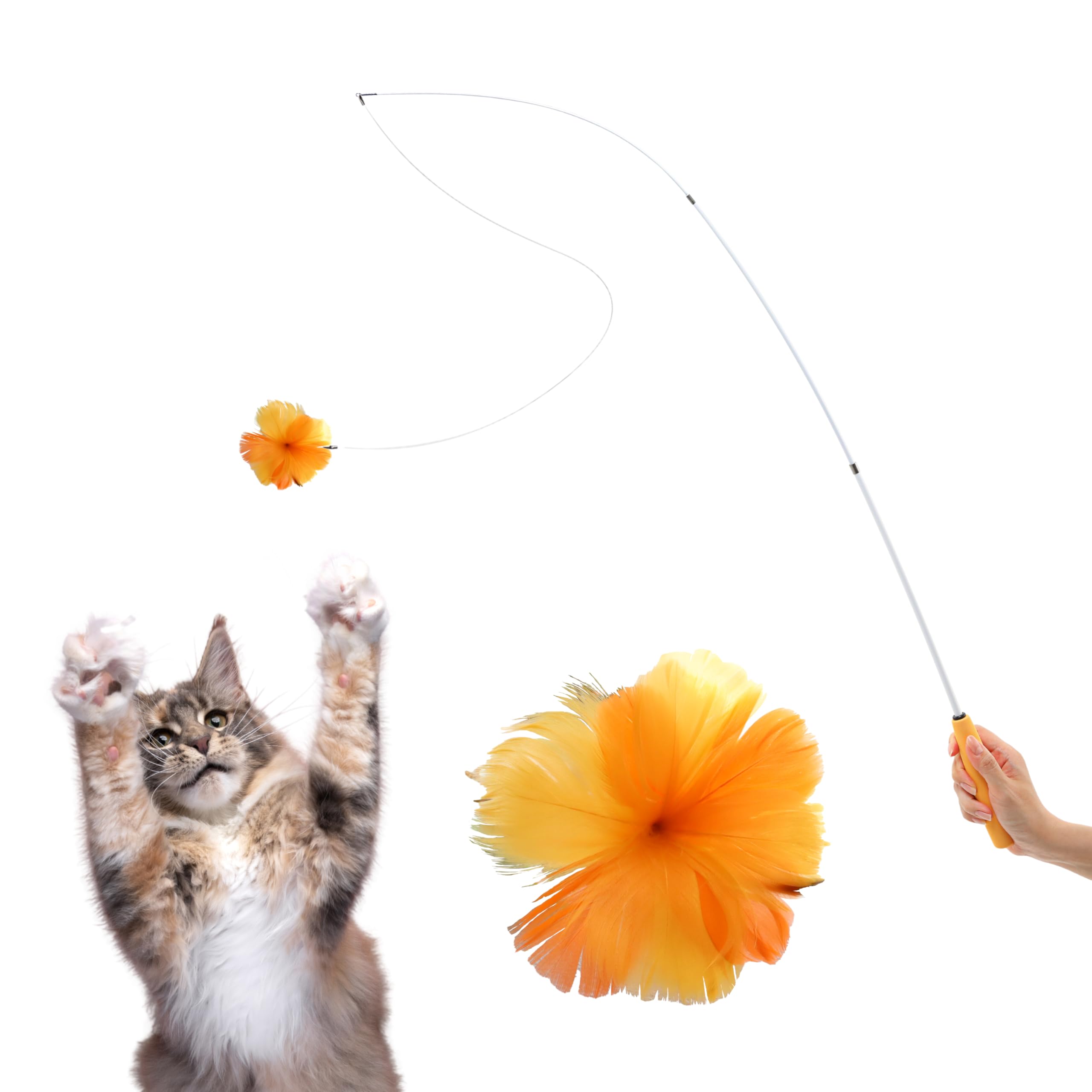 Photo 1 of SHIMMURR Cat Feather Wand Toy - 38" Retractable Cat Wand Toy with Orange Feather Flower Teaser Refill for Indoor Cats and Interactive Play
