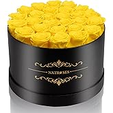 NATROSES Gifts for Her 27 Piece Forever Preserved Roses in a Box, Preserved Flowers for Delivery Birthday, Flowers Gifts for Mothers Day, Yellow