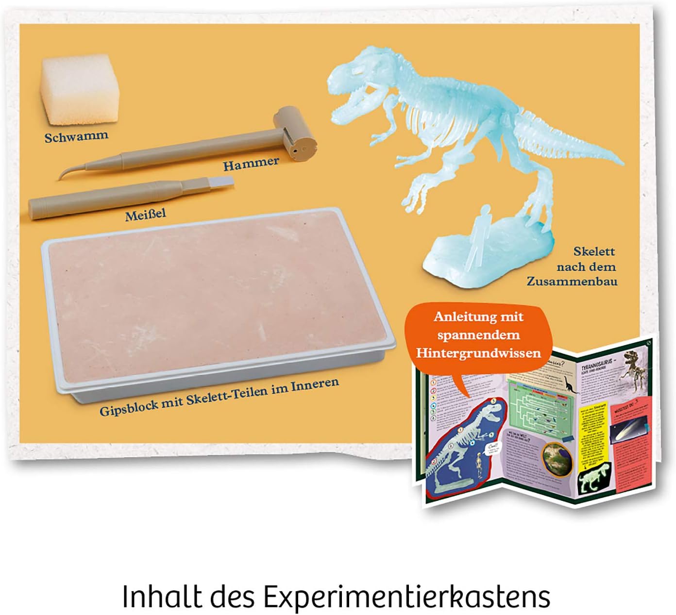 Kosmos 658021 Noctilucent T-REX Experiment Set for Children from 7 Years, Dinosaurs, Fossils, Excavation, Prehistoric Time - Image 4