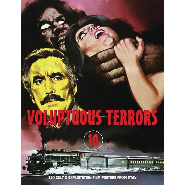 洋書 Bizarre Sinema! Sexploitation Filmmakers Tokyo Cinerotix: 100 Scenes From Classic Japanese